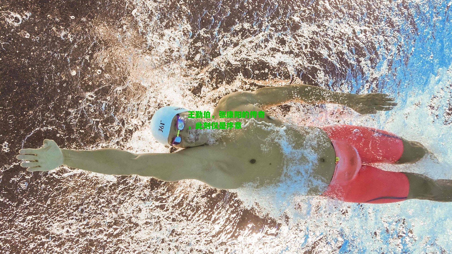 王勤伯,张康阳的传奇,此刻仅是序章